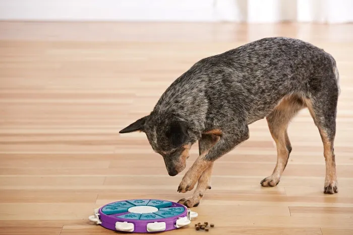 Dog Twister Puzzle