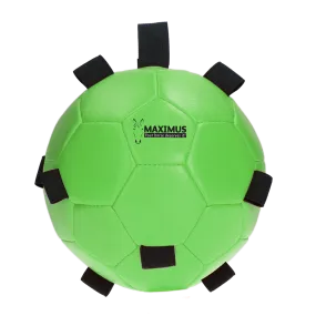 Maximus Fun Play Ball Green