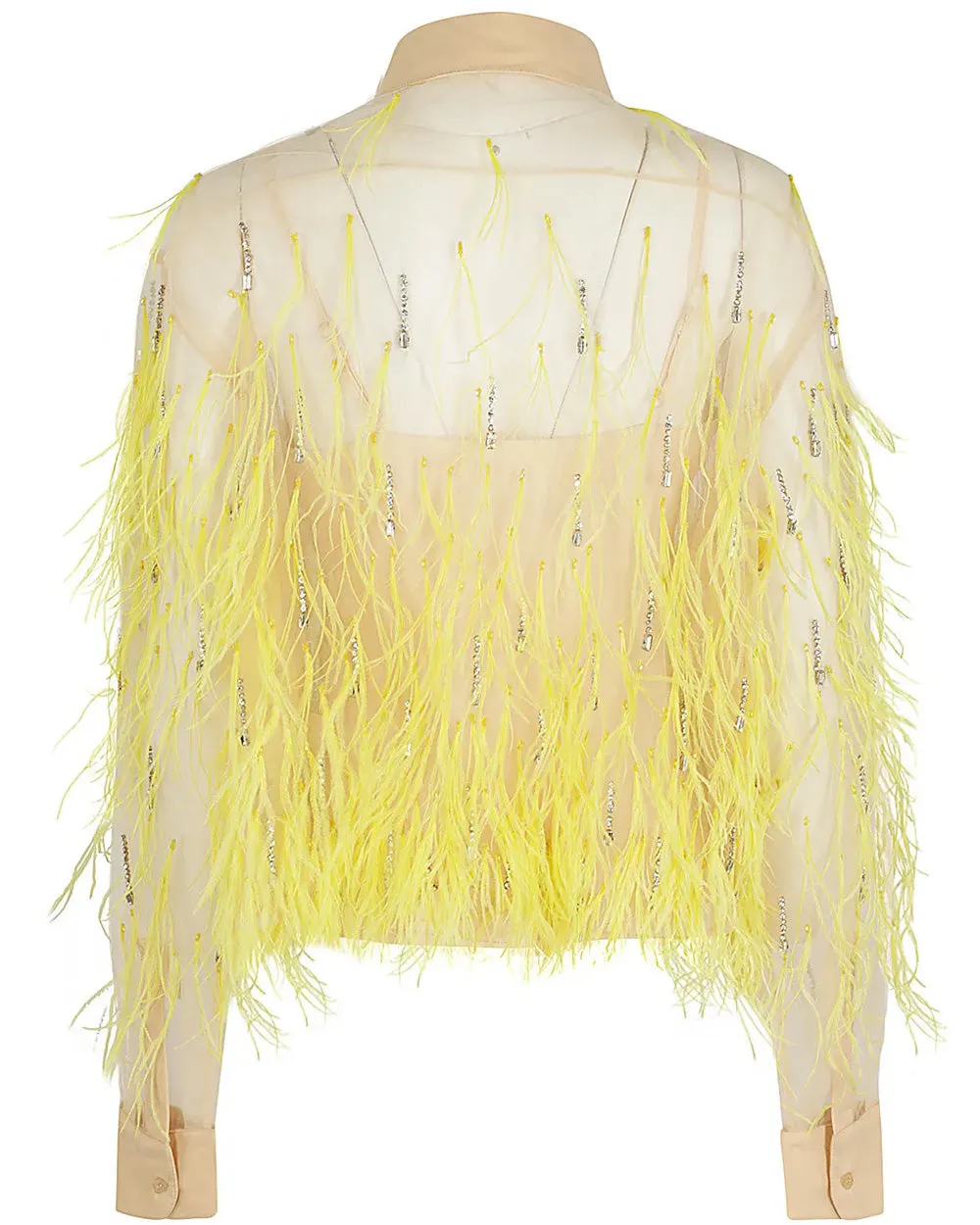 Nude Tulle Feather Embellished Shirt