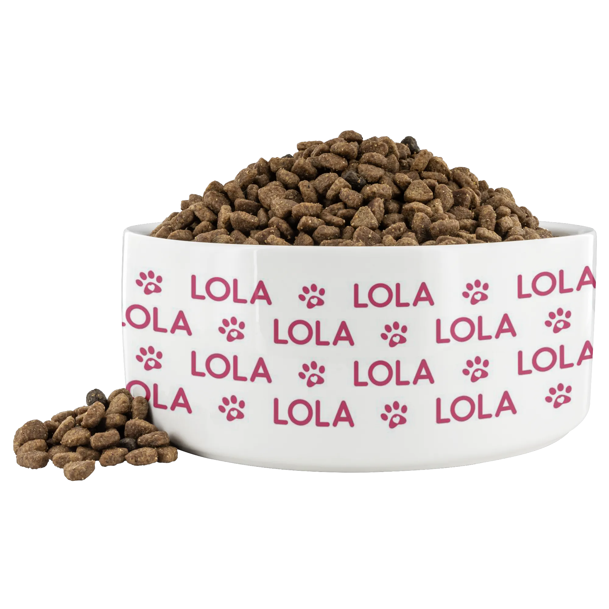 Personalized Ceramic Dog Bowl Pattern Name