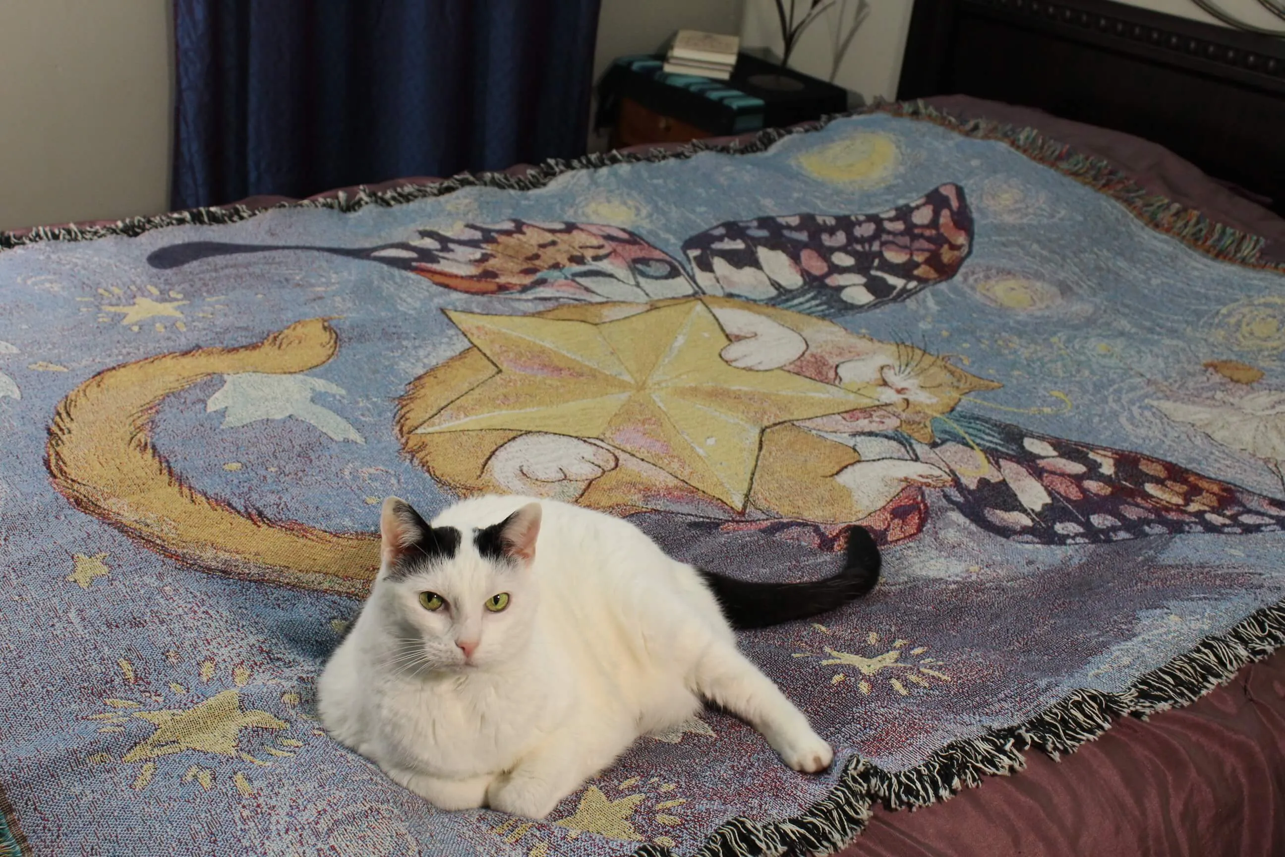 Starry Butterfly Cat Tapestry Blanket