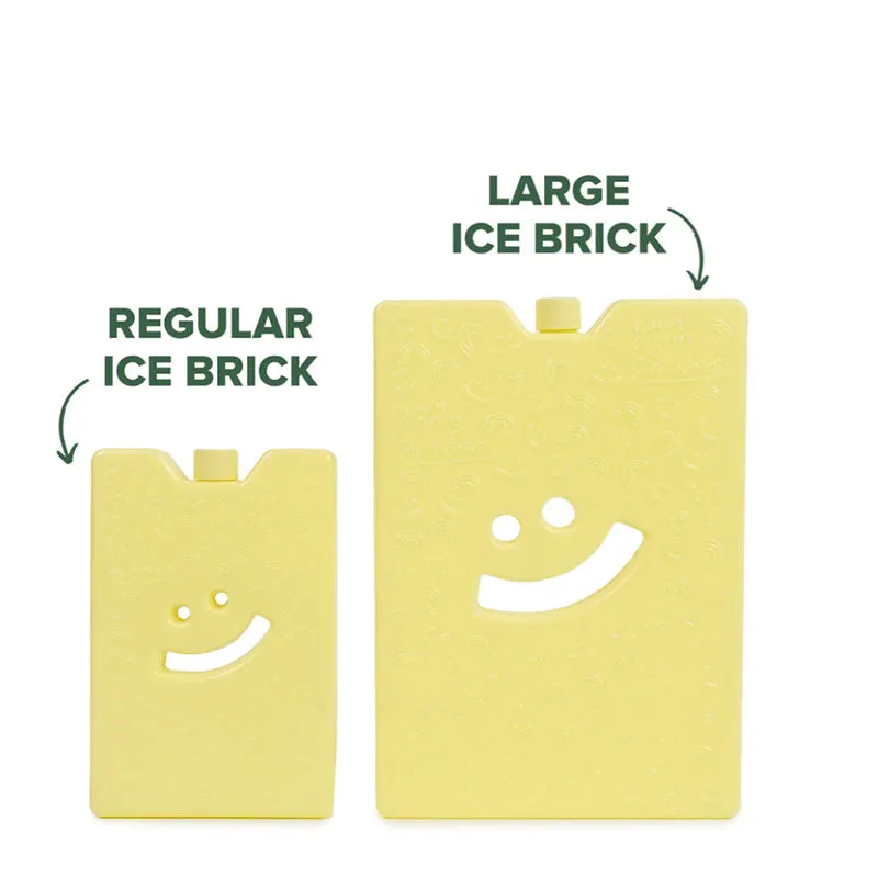 The Somewhere Co Ice Brick